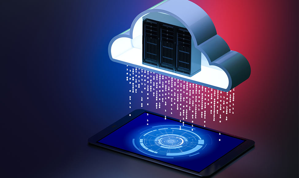 HOSTING SERVICES