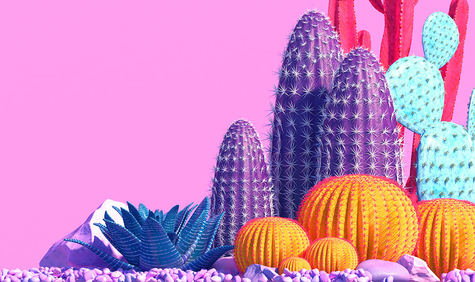 Custom Illustration